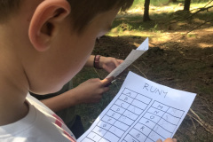 Dešifrování run