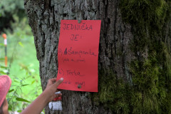 Nápověda k pokladu