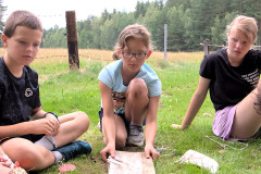 Soustředění na úkol
